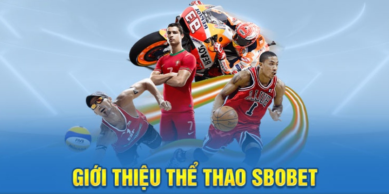 Tham gia cá cược thể thao ảo đầy thú vị