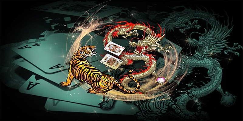Chuyên gia hướng dẫn chơi rồng hổ