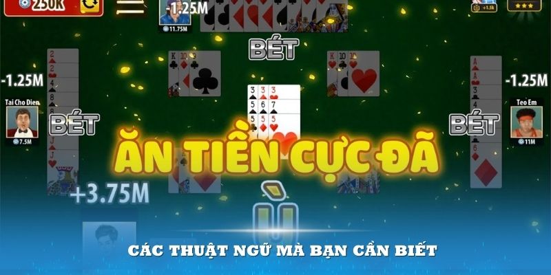 Các thuật ngữ về phỏm mà bạn cần biết