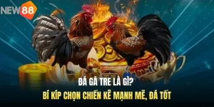 Đá Gà Tre Là Gì? Bí Kíp Chọn Chiến Kê Mạnh Mẽ, Đá Tốt